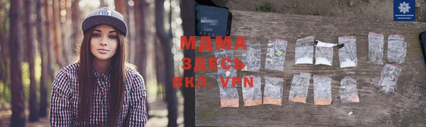 бошки Бородино