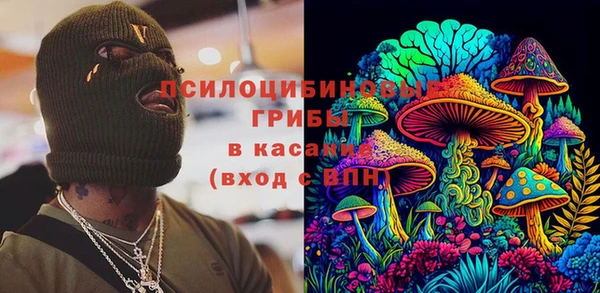 бошки Бородино