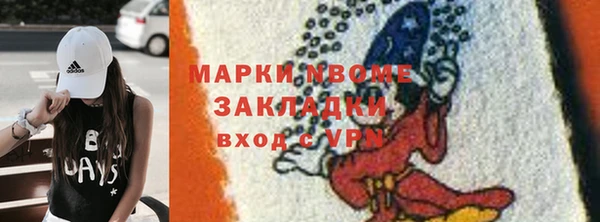 бошки Бородино
