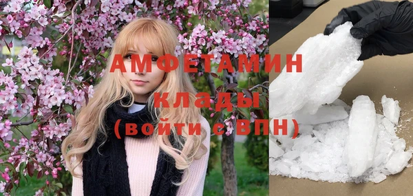 бошки Бородино