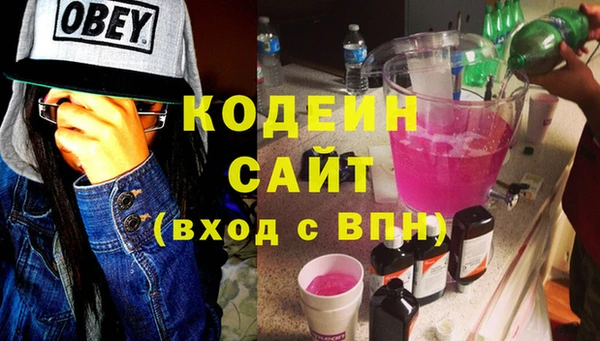 бошки Бородино