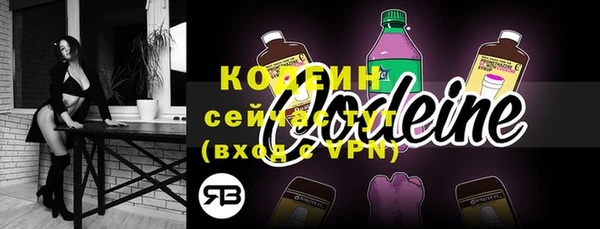 бошки Бородино
