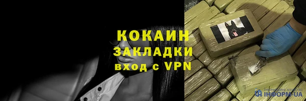 бошки Бородино