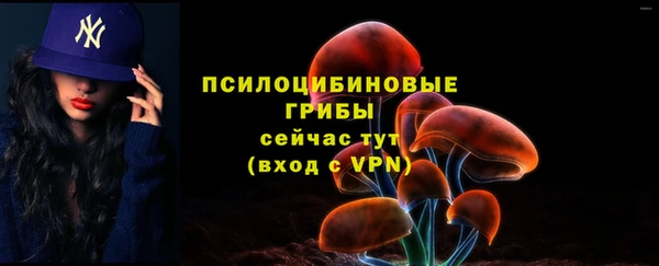 герыч Бугульма