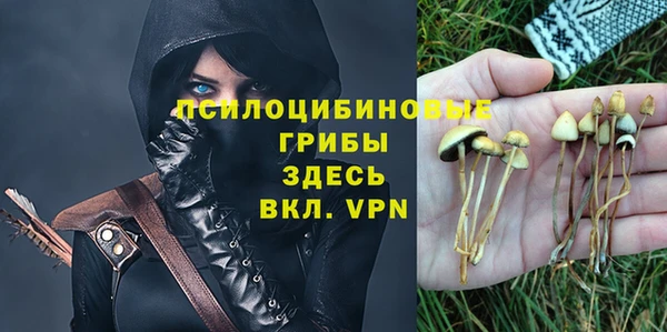 бошки Бородино