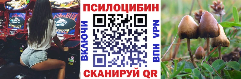 Псилоцибиновые грибы GOLDEN TEACHER  Ессентукская 