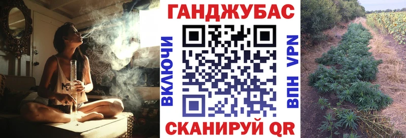 Марихуана сатива  Ессентукская 